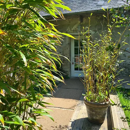 Maisonnette D Omaha Ferienhaus